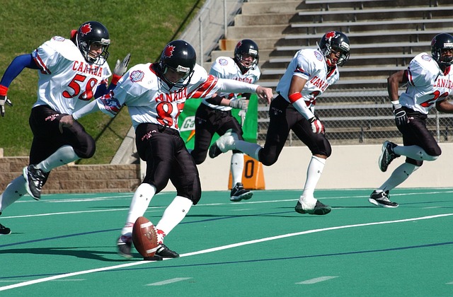 到的那样 到的那样