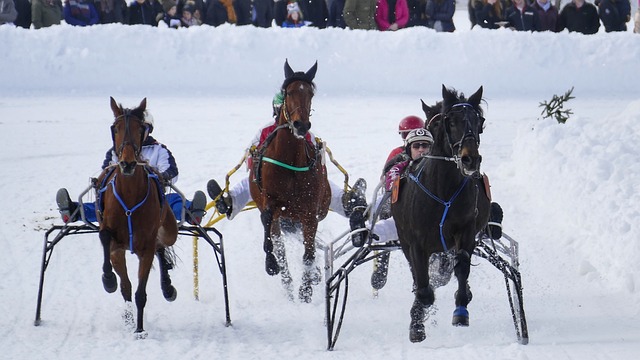 透到了山东 透到了山东