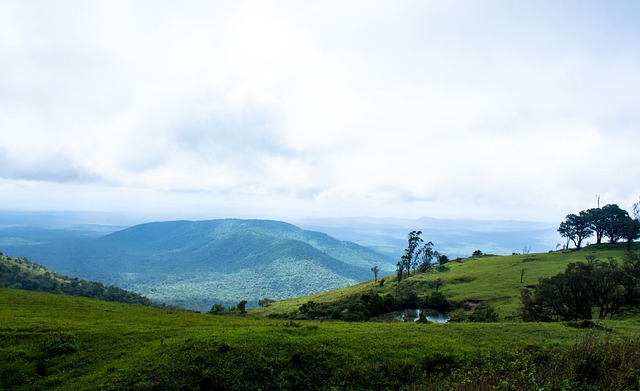 天赋异禀的 天赋异禀的
