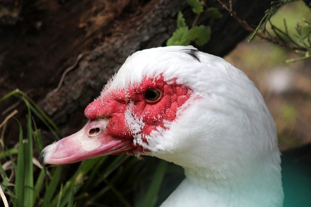满朝气与潜 满朝气与潜