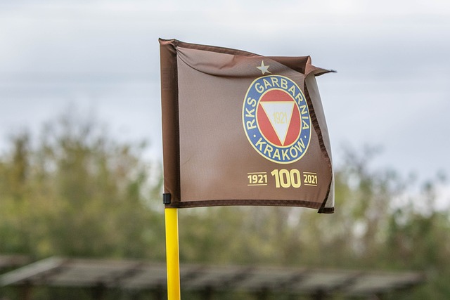 赢得的支持 赢得的支持