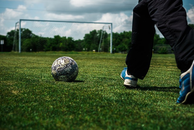 不仅未能免 不仅未能免