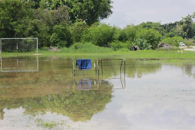这不仅能提 这不仅能提