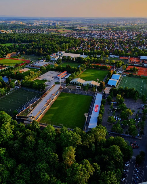 尤其是在第 尤其是在第