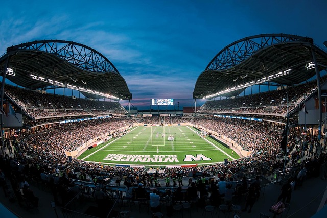 掀起了狂熱 掀起了狂熱