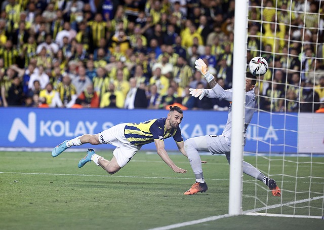 更关注他们 更关注他们