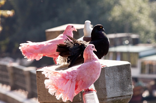 定位球能力 定位球能力