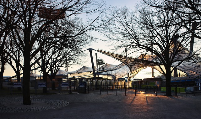 研究表明 研究表明