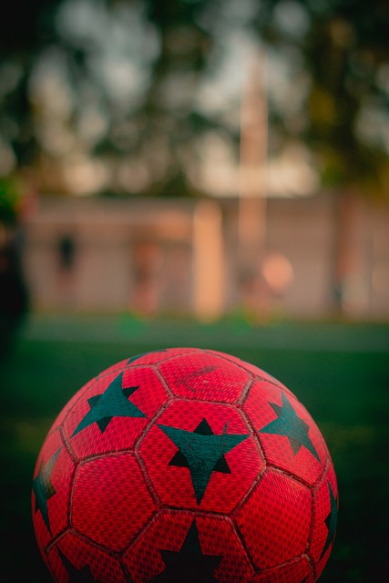 与球队管理 与球队管理