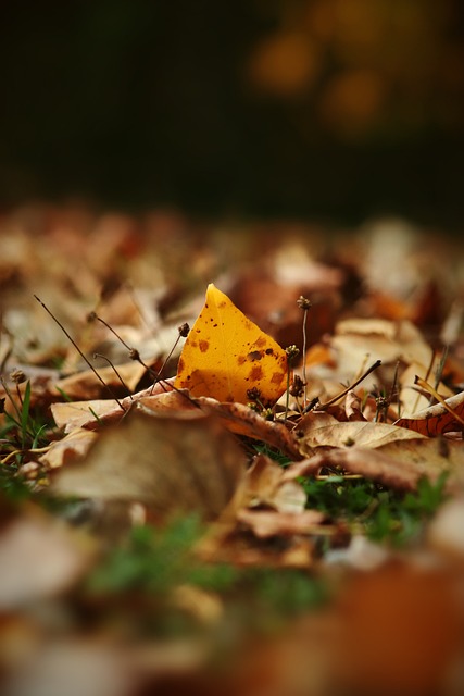 到多特蒙德 到多特蒙德