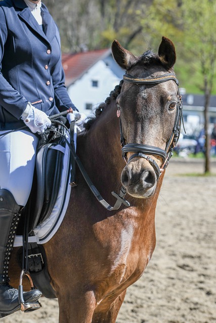 还受很多其 还受很多其